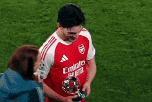 Champions League Football GIF