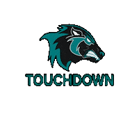 AlisoNiguelFootball anhs aliso football antd anhstouchdown Sticker