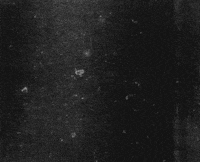 film pop GIF by hoppip