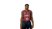 Vamos Liga Endesa Sticker by ACB