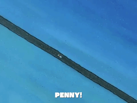 season 6 penny foolish GIF by SpongeBob SquarePants