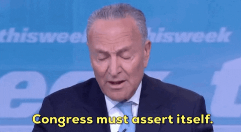 news giphyupload giphynewsuspolitics chuck schumer giphynewuspolitics GIF