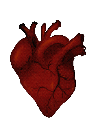 Heart Love Sticker