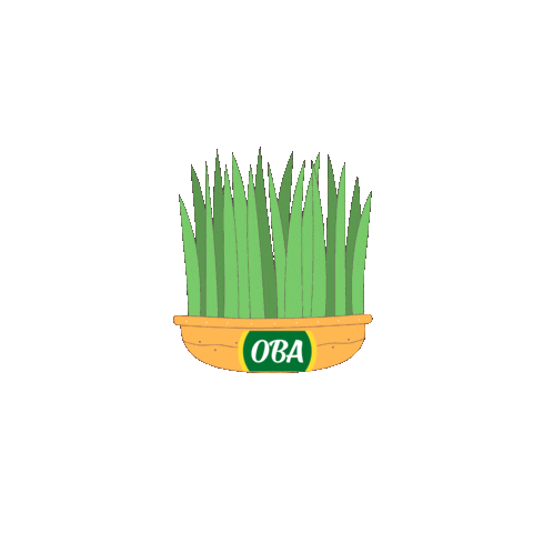 Novruz Yumurta Sticker by OBA Marketler
