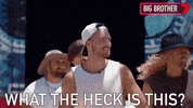 Bbau GIF by Big Brother Australia
