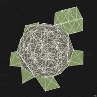 Turtle Stereo GIF by Trevor Anderson