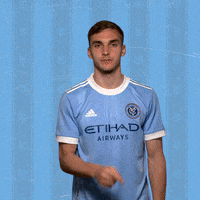 Major League Soccer Reaction GIF by NYCFC