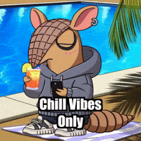 Vacation Celebrations GIF by Chillo Dillo