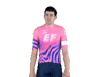 New Zealand Idk Sticker by EF Education First