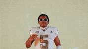 Georgia Tech Football Sport GIF by Georgia Tech Yellow Jackets