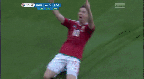euro 2016 GIF by Sporza