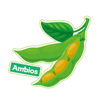 Soja Lavoura Sticker by Natter Agro