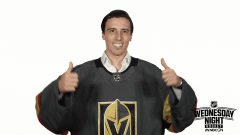 Vegas Golden Knights Hockey GIF by NHL on NBC Sports