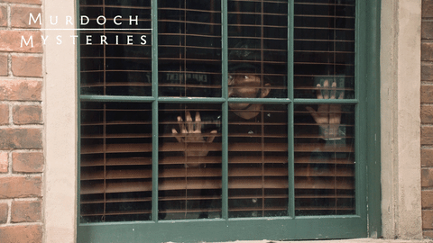 Watching Jonny Harris GIF by Murdoch Mysteries