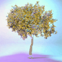 loop render GIF by G VNCT