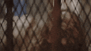 amy adams GIF by Sharp Objects