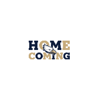 Game Football Sticker by Calvary Christian Academy