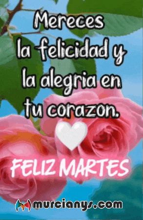 Para Ti Amigos GIF by Murcianys LLC