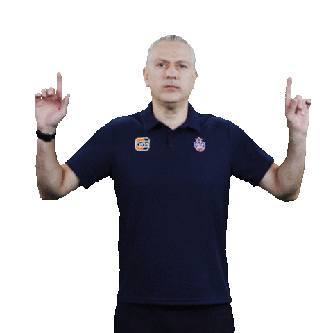 Sport Basketball Sticker by CSKA Moscow