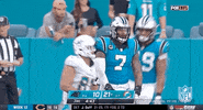 Carolina Panthers Football GIF by NFL