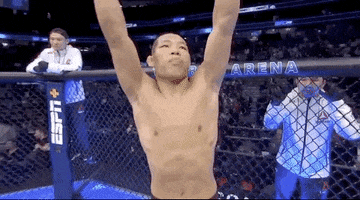 Li Jingliang Sport GIF by UFC