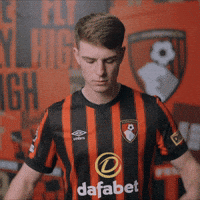 Football Celebrate GIF by AFC Bournemouth