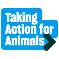 Humaneworld Sticker by Humane World for Animals