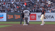 High Five New York Yankees GIF by YES Network