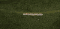 Lacrosse GIF by Lafayette Leopards