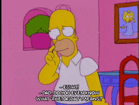 homer simpson GIF