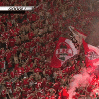 1 Fc Cologne Football GIF by 1. FC Köln
