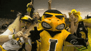 volleyball vb GIF by University of Iowa Hawkeyes Athletics
