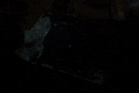 Mobsters GIF by K-Trap
