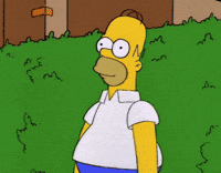 thread homer GIF