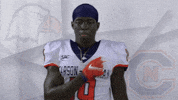 Carson Newman Football GIF by Carson-Newman Athletics