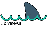 Water Shark Sticker by NAUI