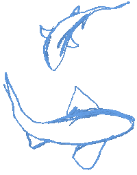 Water Swimming Sticker