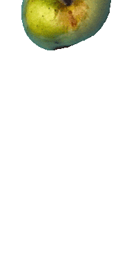 nemutlu apple gravity newton gok Sticker