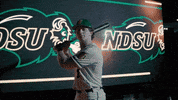 Ndsu Baseball GIF by NDSU Athletics