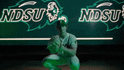 GIF by NDSU Athletics