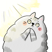 Cat Wow Sticker