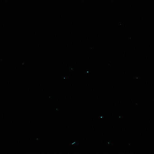 stars gif artist GIF by Erica Anderson