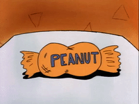 rockos modern life nicksplat GIF
