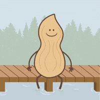 GIF by fatso