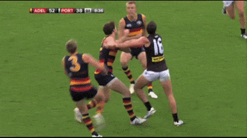 Afl Memories GIF by Adelaide Crows
