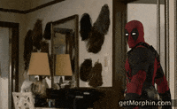 Oh My God Omg GIF by Morphin