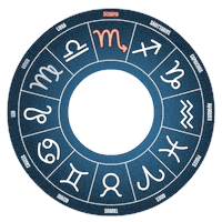 Penguin Sign Sticker by Pudgy Penguins