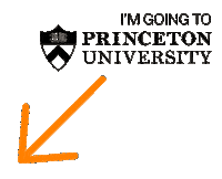 Princeton 2030 Sticker by Princeton University