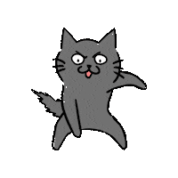 Watch Me Cat Sticker
