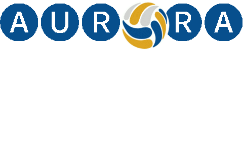 Sport Play Sticker by Aurora Beach Volleyball